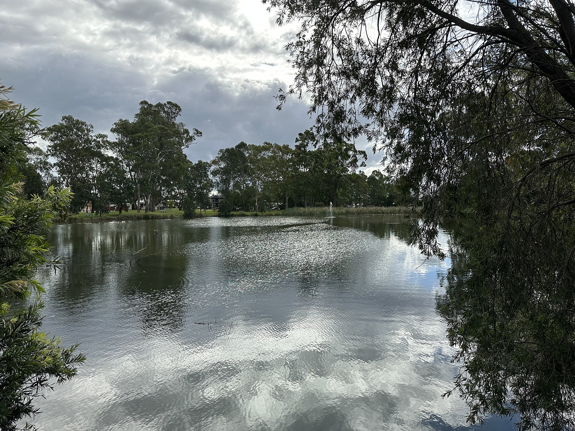 Clinches Pond reserve in Moorebank, south-western Sydney